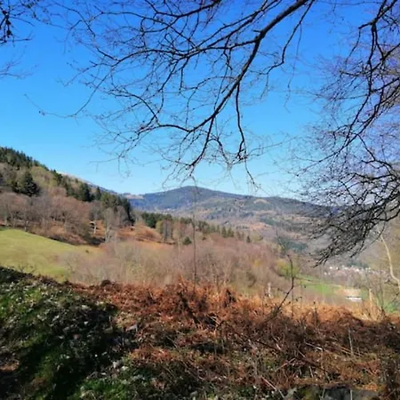 Les Locations de Stéphanie ,gîte L'Arbre Vert Sondernach Esterno foto