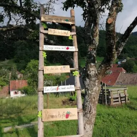 Les Locations de Stéphanie ,gîte L'Arbre Vert Sondernach Esterno foto