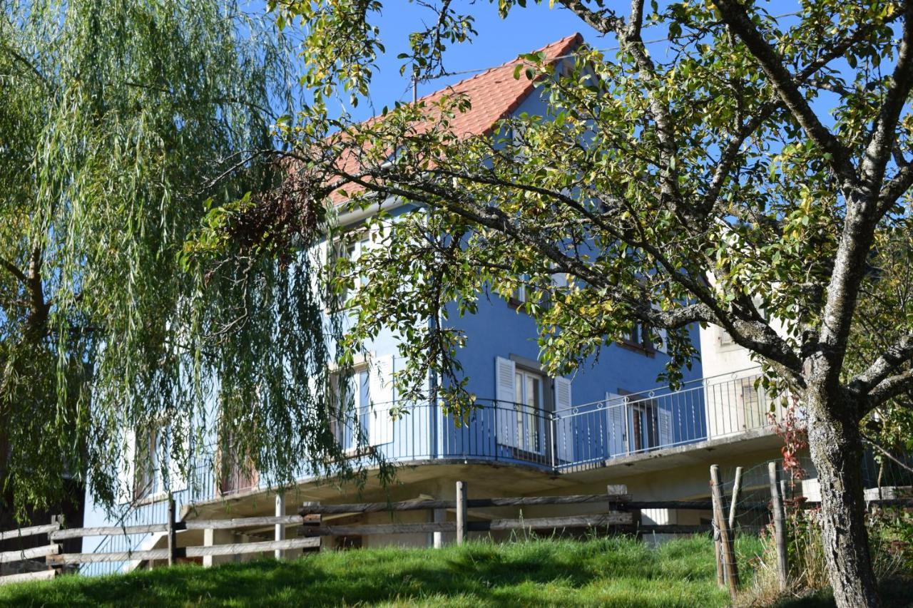 Les Locations De Stephanie ,gite L'arbre Apartment Sondernach