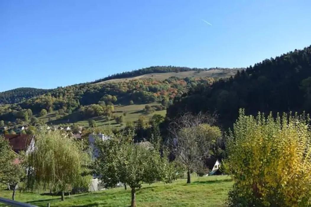 Les Locations De Stephanie ,gite L'arbre Apartment