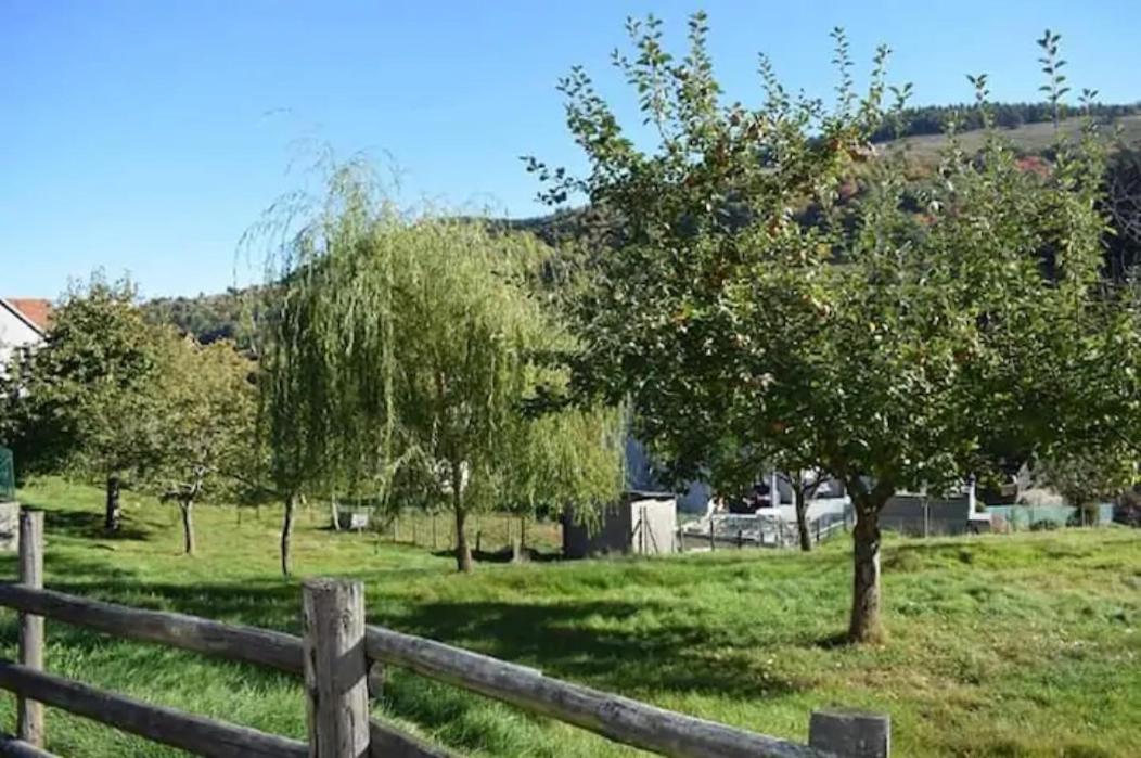 Les Locations De Stephanie ,gite L'arbre * Sondernach