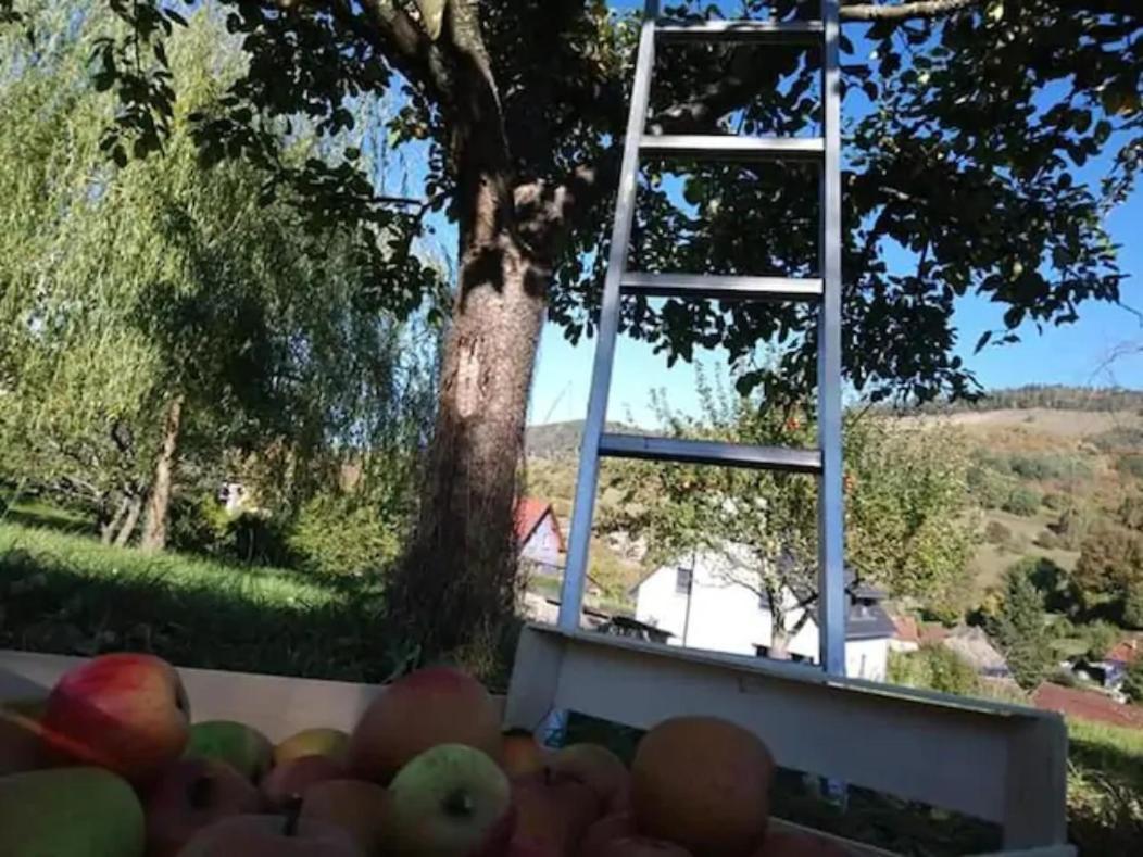 Les Locations De Stephanie ,gite L'arbre Apartment