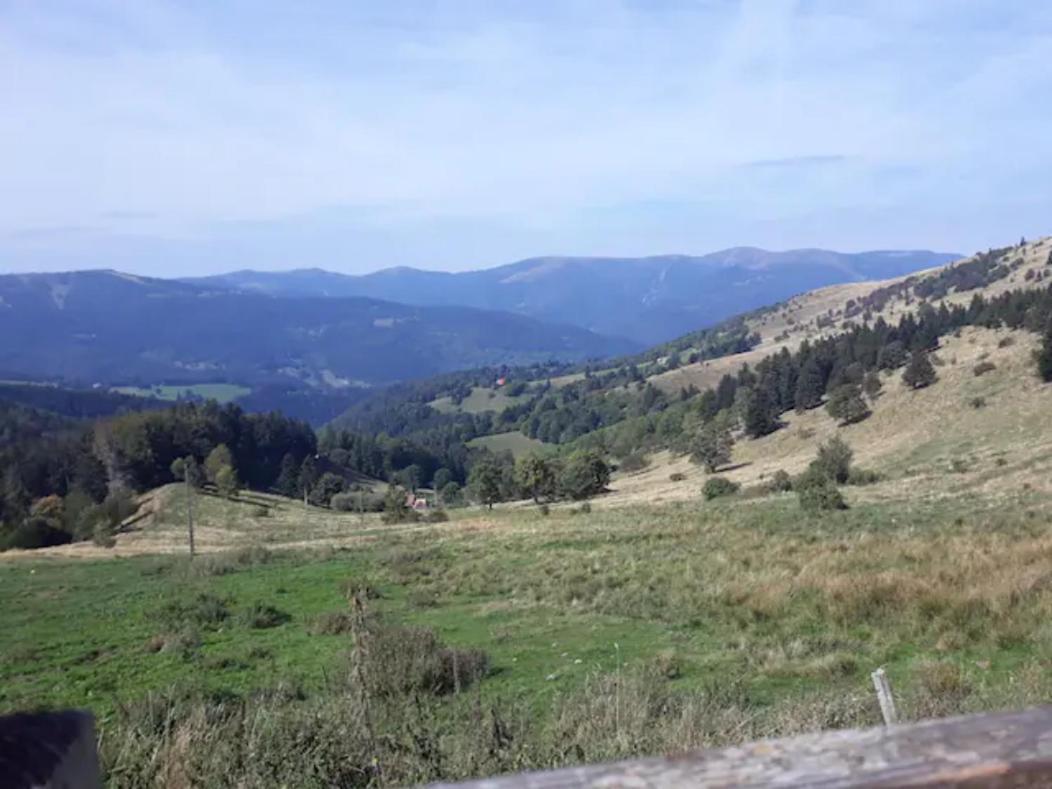 Les Locations De Stephanie ,gite L'arbre * Sondernach