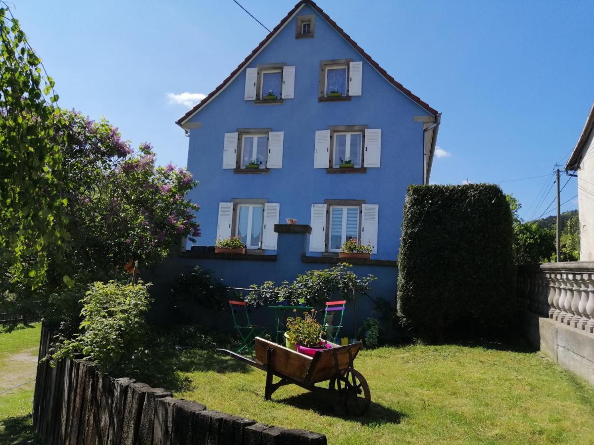 Les Locations De Stéphanie ,gîte L'arbre *