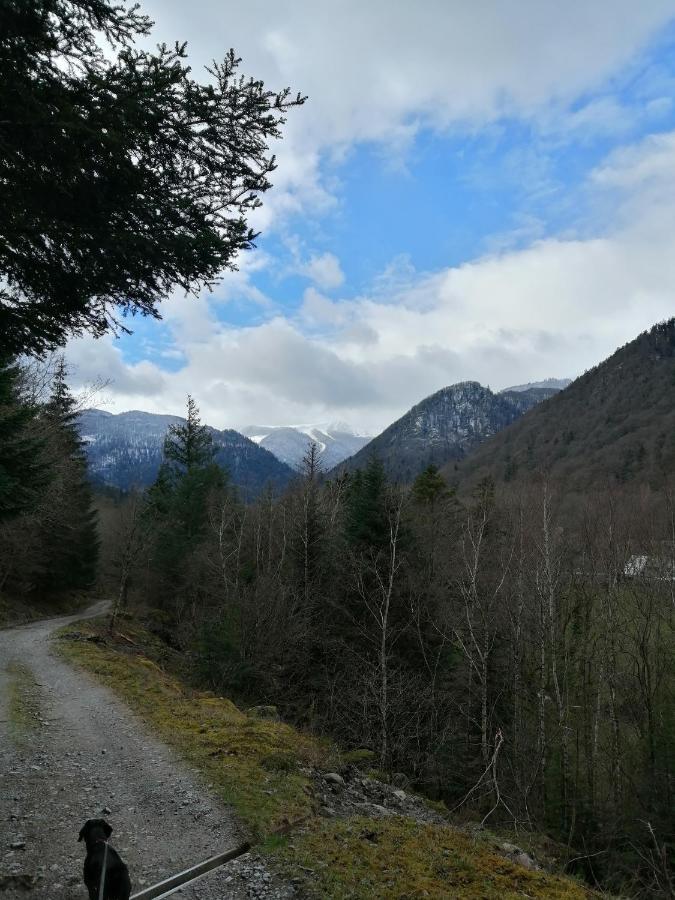Appartement Les Locations De Stéphanie ,gîte L'arbre